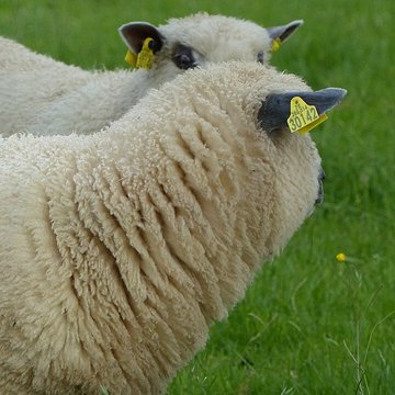 Écomusée du pays de Rennes