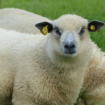 Écomusée du pays de Rennes