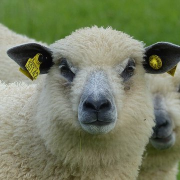 Écomusée du pays de Rennes
