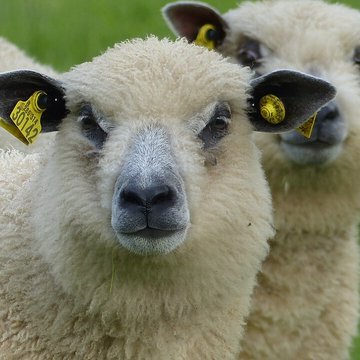 Écomusée du pays de Rennes