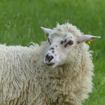 Écomusée du pays de Rennes