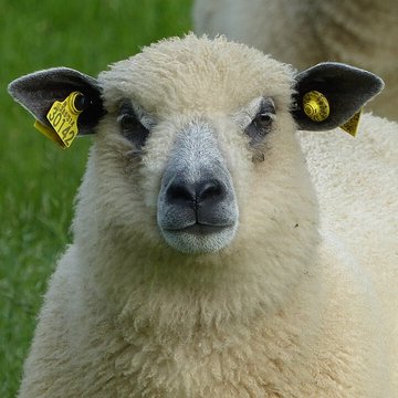 Écomusée du pays de Rennes