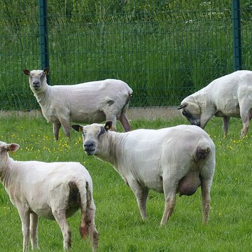 Écomusée du pays de Rennes