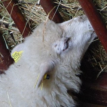 Écomusée du pays de Rennes