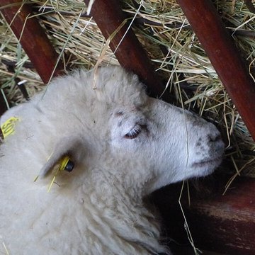 Écomusée du pays de Rennes