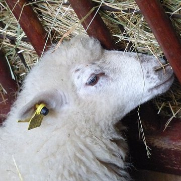 Écomusée du pays de Rennes