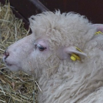 Écomusée du pays de Rennes