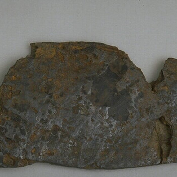 Photo de Musée de Bretagne à Rennes