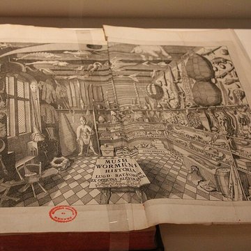 Musée des beaux-arts de Rennes