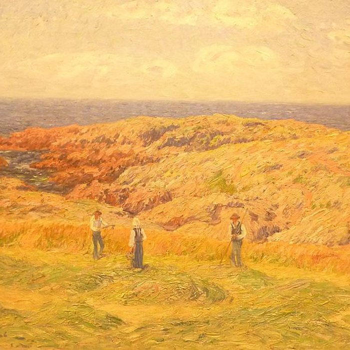 Photo de Musée de la Cohue à Vannes 