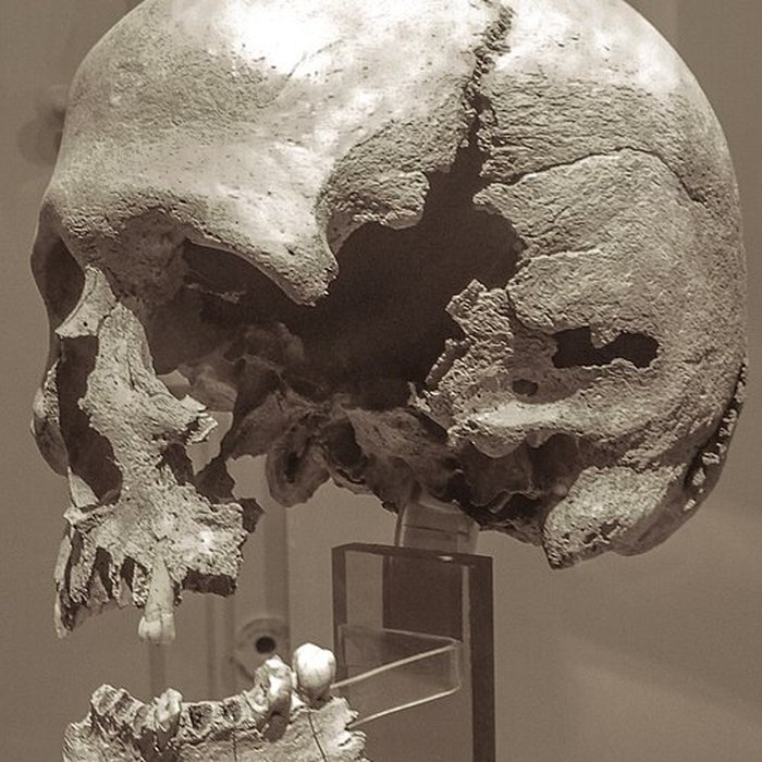 Photo de Musée de préhistoire Miln-le-Rouzic