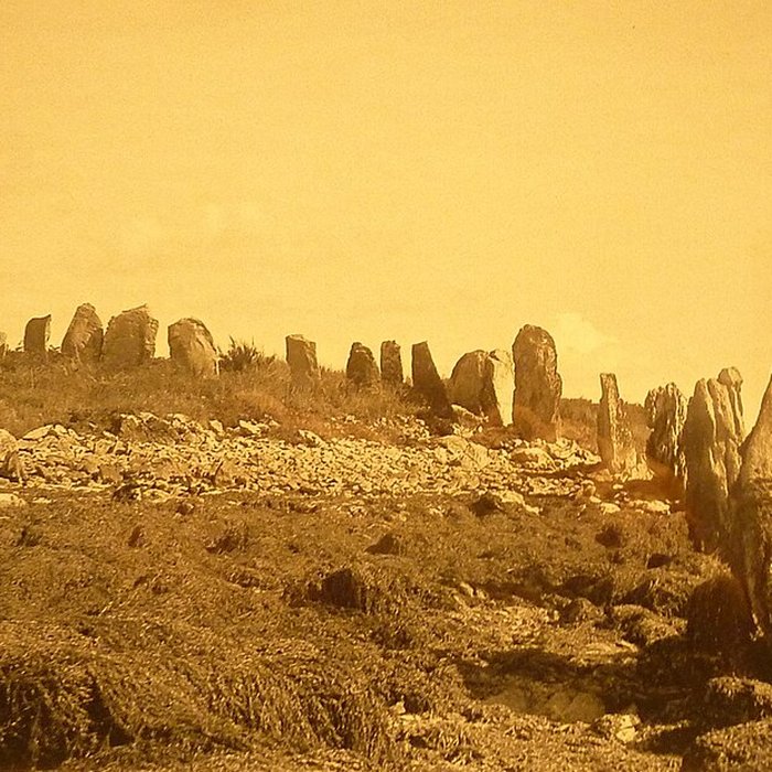 Photo de Musée de préhistoire Miln-le-Rouzic