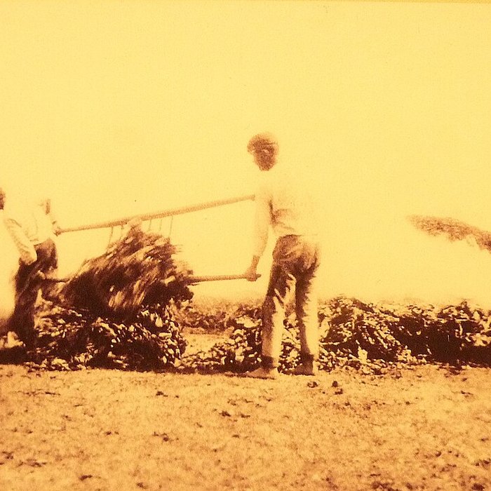 Photo de Musée de préhistoire Miln-le-Rouzic