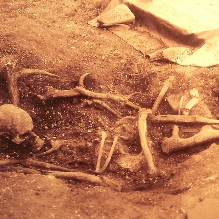 Photo de Musée de préhistoire Miln-le-Rouzic