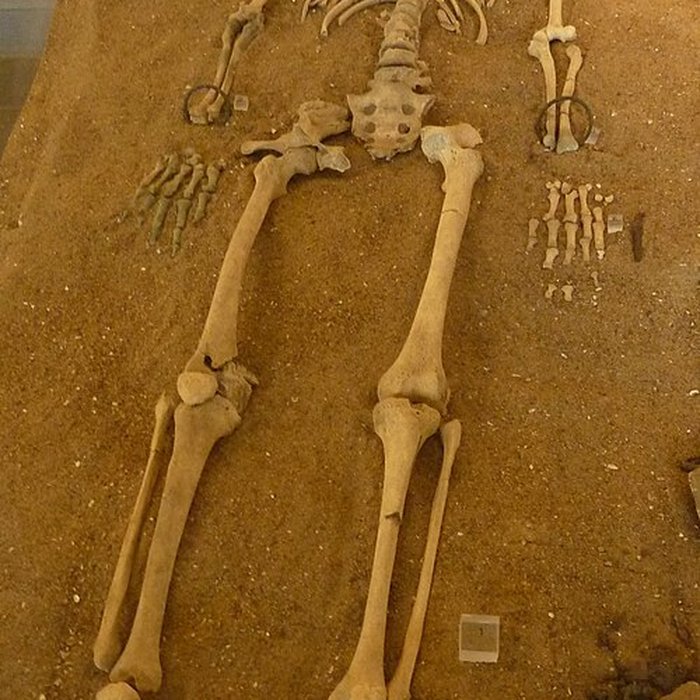 Photo de Musée de préhistoire Miln-le-Rouzic