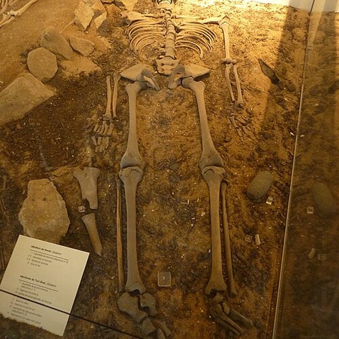 Photo de Musée de préhistoire Miln-le-Rouzic