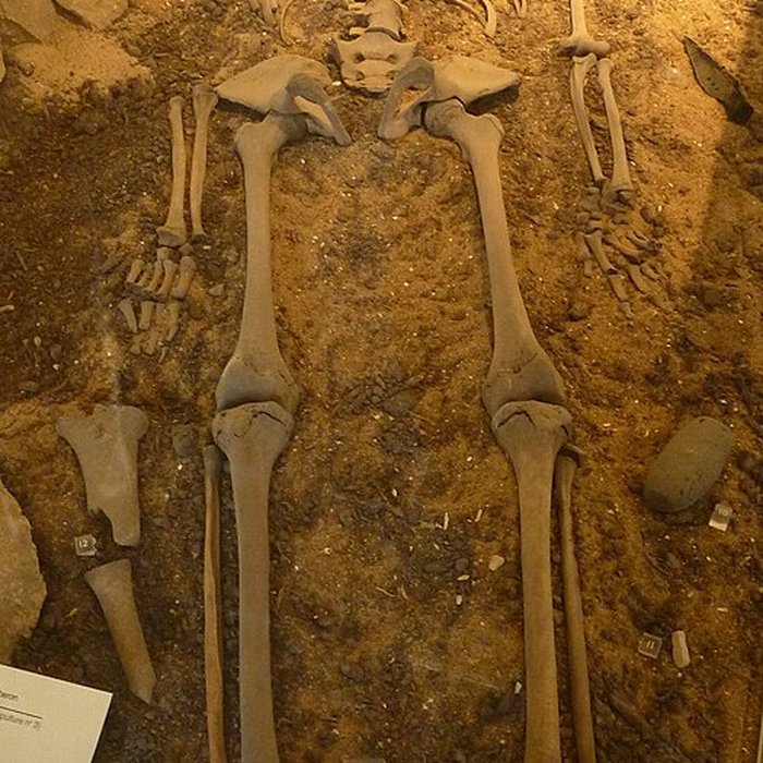 Photo de Musée de préhistoire Miln-le-Rouzic