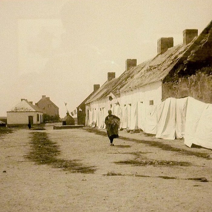 Photo de Musée de préhistoire Miln-le-Rouzic