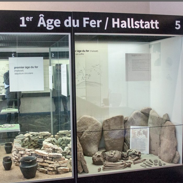 Photo de Musée de préhistoire Miln-le-Rouzic