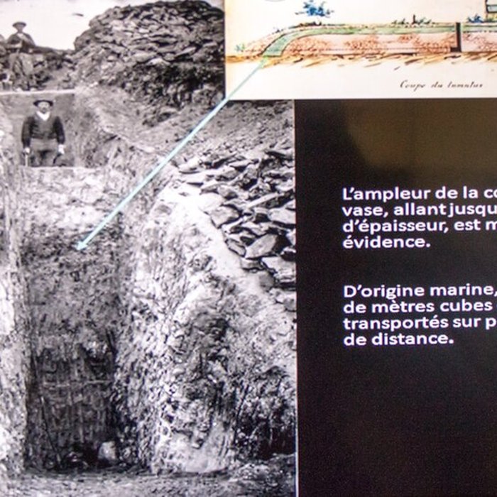 Photo de Musée de préhistoire Miln-le-Rouzic