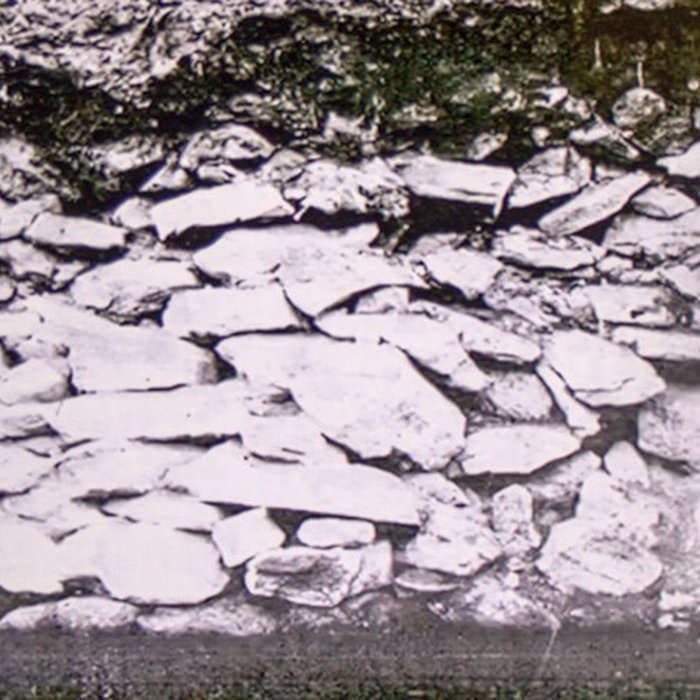 Photo de Musée de préhistoire Miln-le-Rouzic