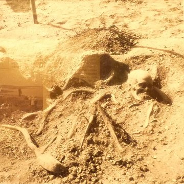 Musée de préhistoire Miln-le-Rouzic