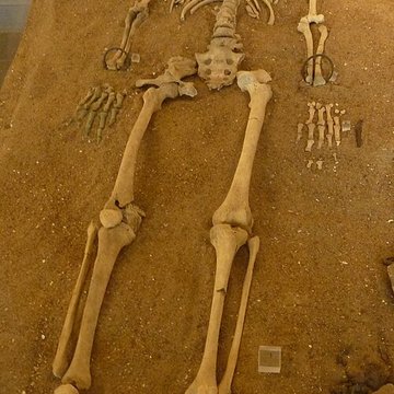 Musée de préhistoire Miln-le-Rouzic