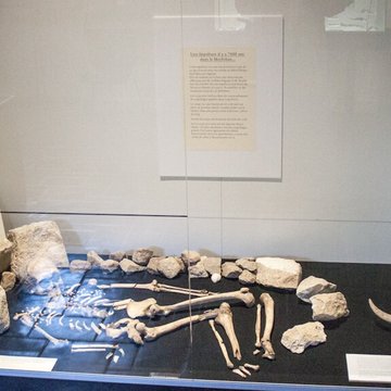 Musée de préhistoire Miln-le-Rouzic