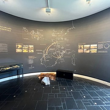 Musée de préhistoire Miln-le-Rouzic