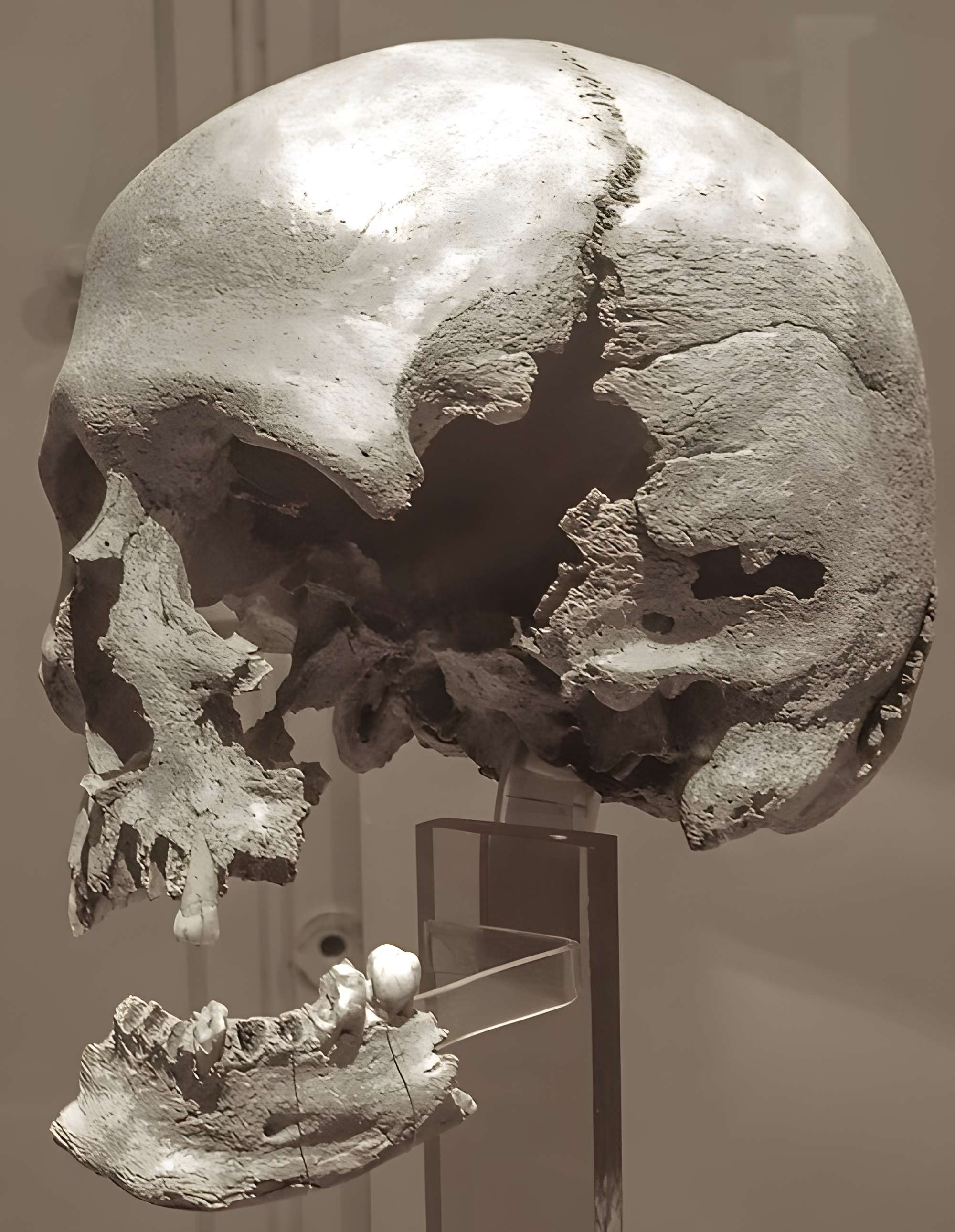 Musée de préhistoire Miln-le-Rouzic