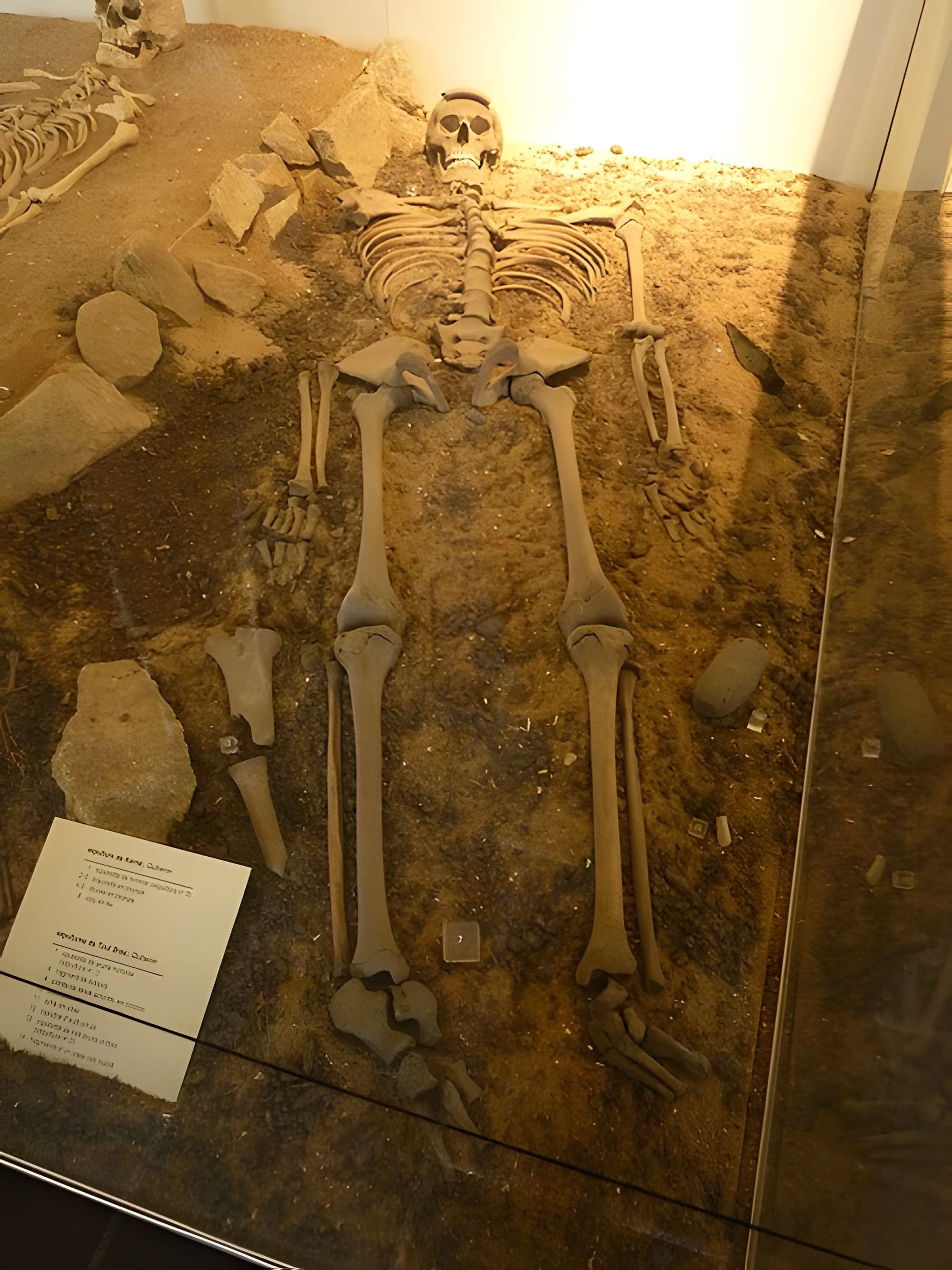 Musée de préhistoire Miln-le-Rouzic