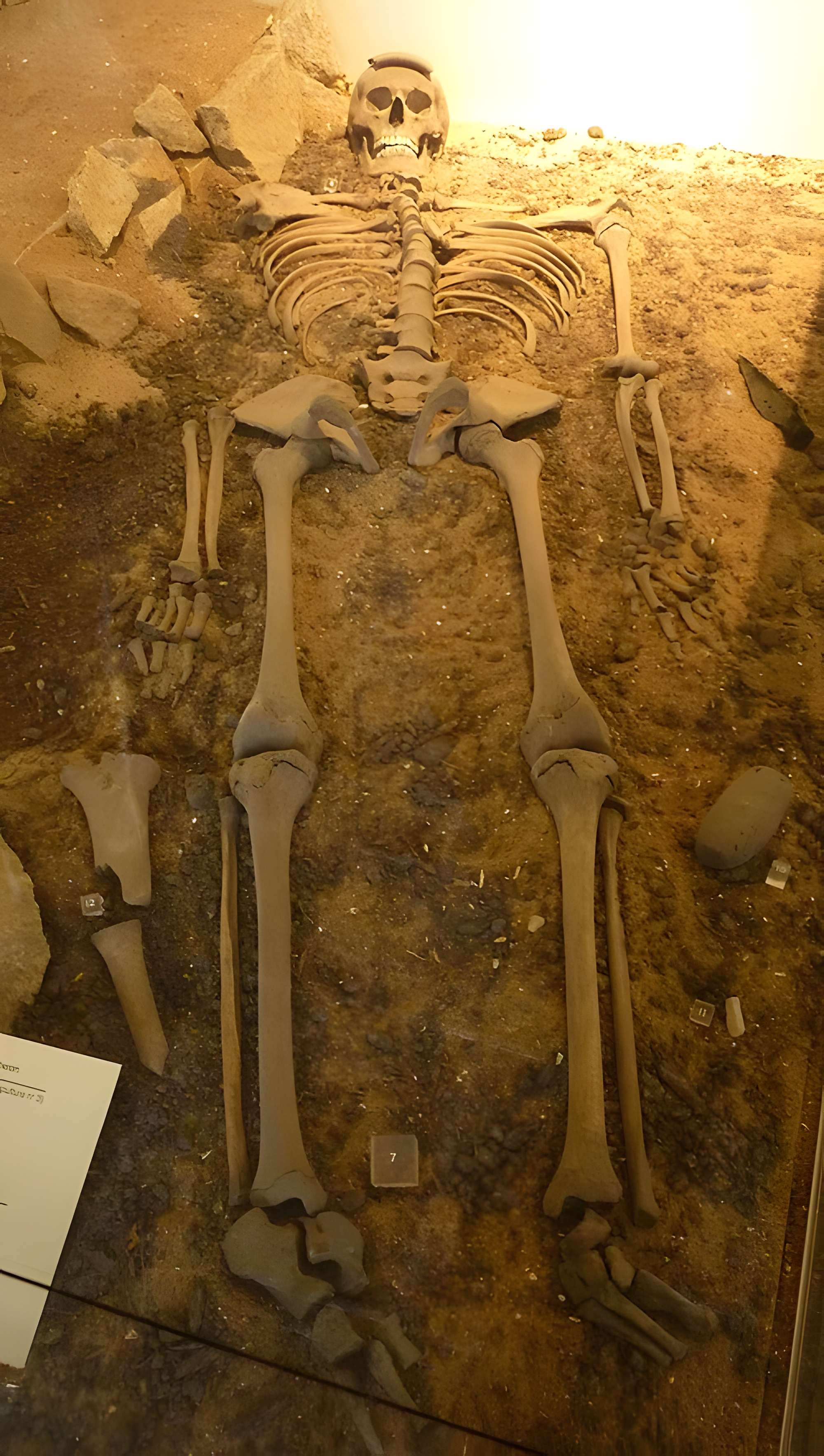 Musée de préhistoire Miln-le-Rouzic