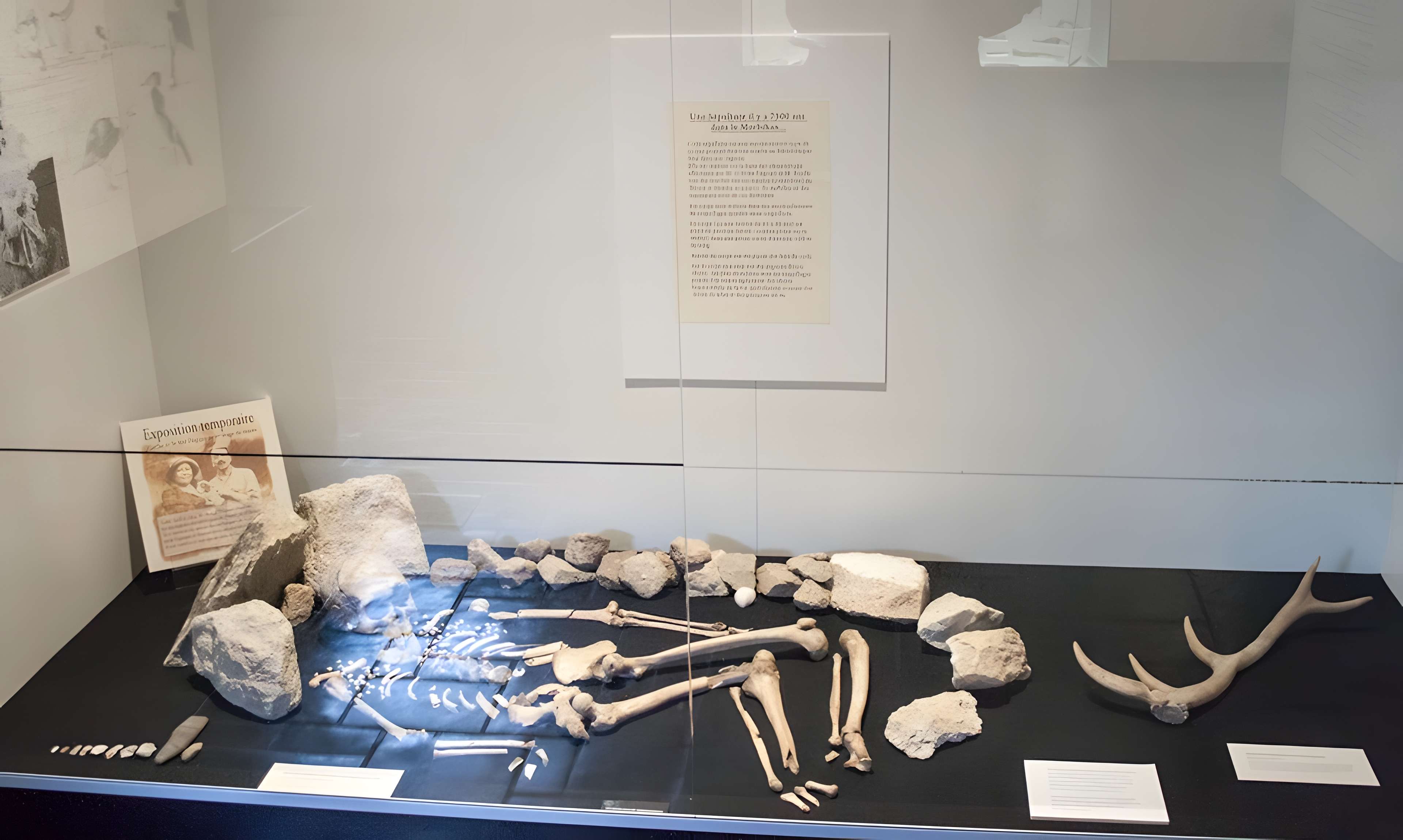 Musée de préhistoire Miln-le-Rouzic