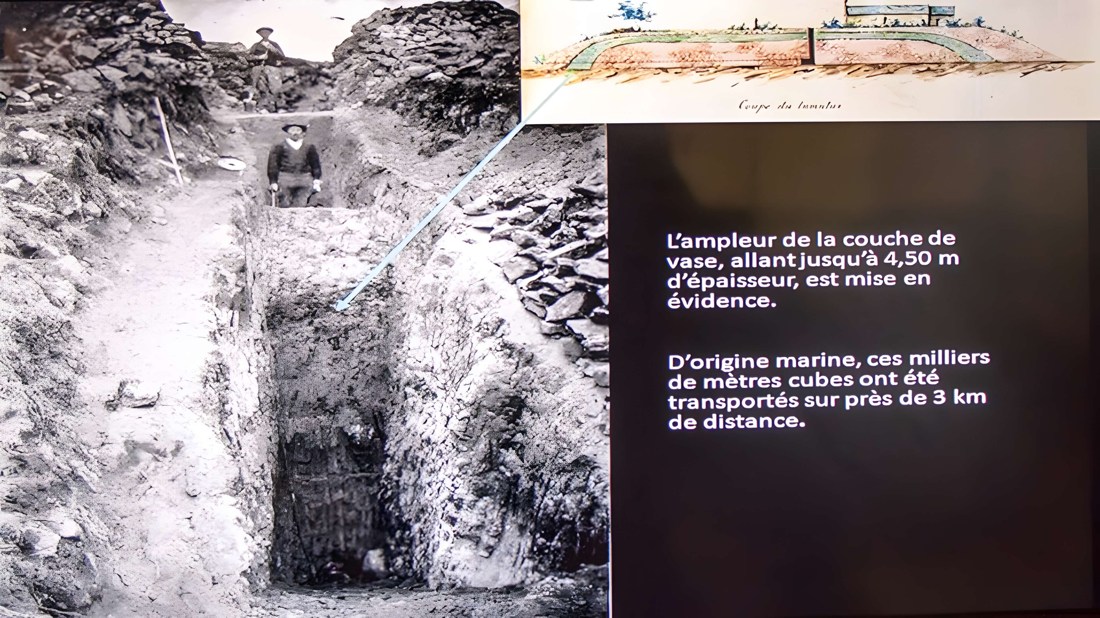 Musée de préhistoire Miln-le-Rouzic