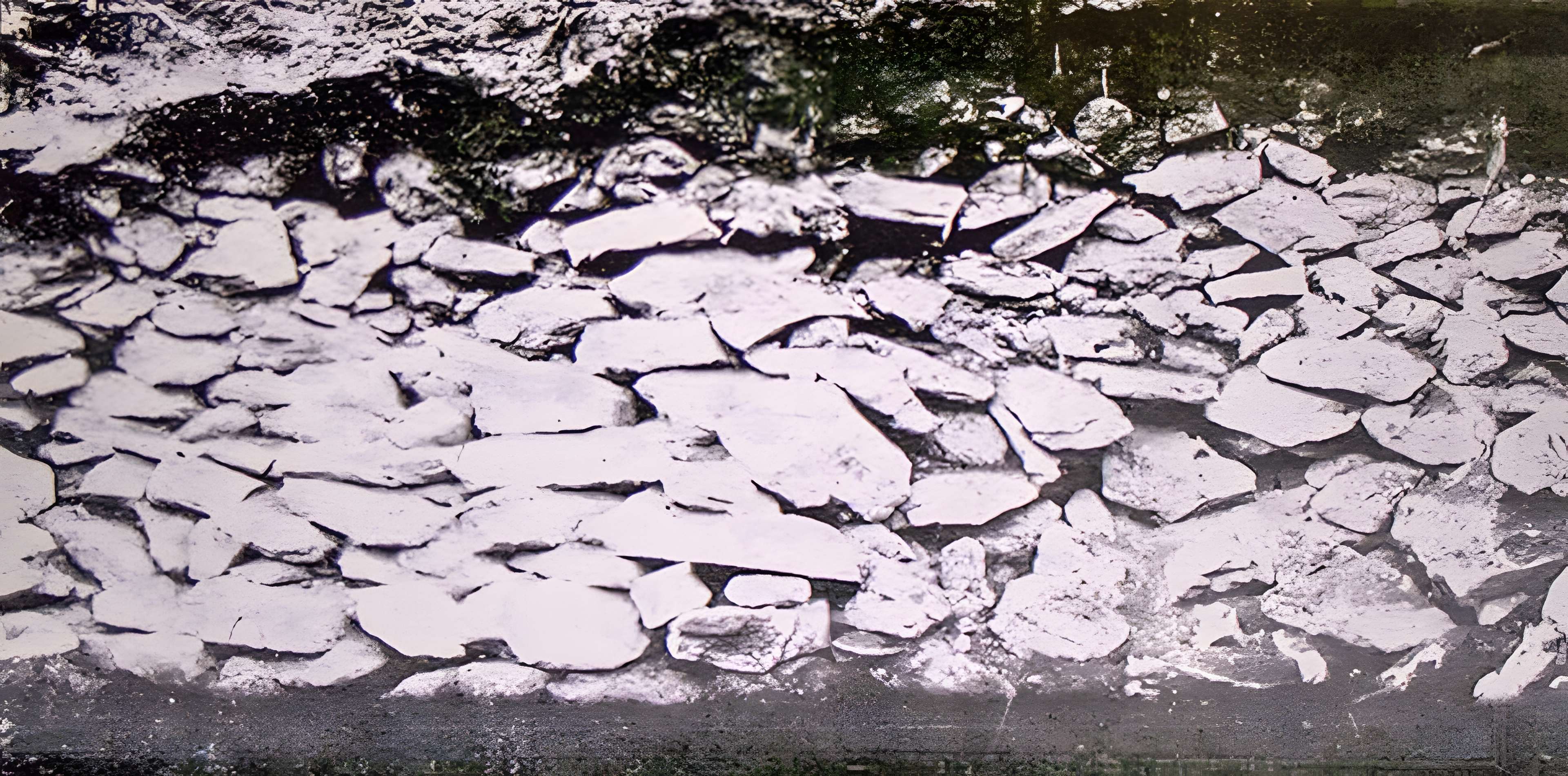 Musée de préhistoire Miln-le-Rouzic