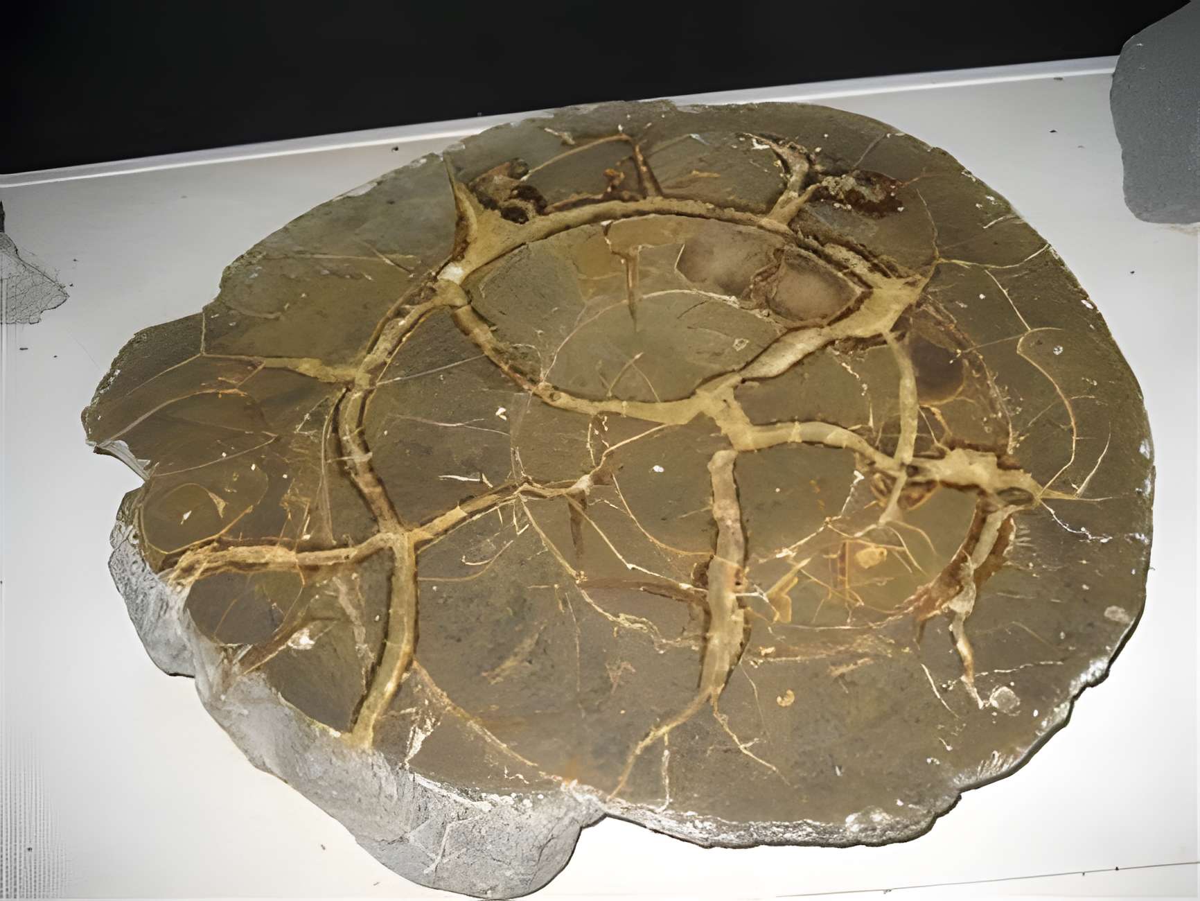 Le musée des Minéraux de Saint-Jacut-les-Pins 