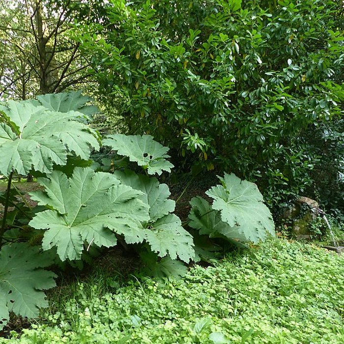 Photo de Musée du cheval en Bretagne à Hennebont