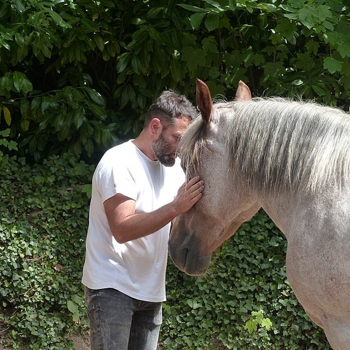 Photo de Musée du cheval en Bretagne à Hennebont