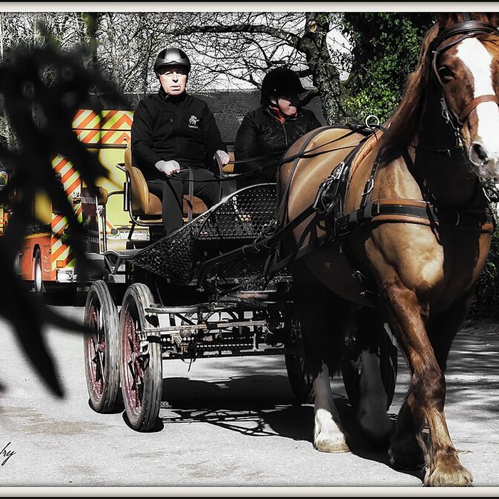 Photo de Musée du cheval en Bretagne à Hennebont
