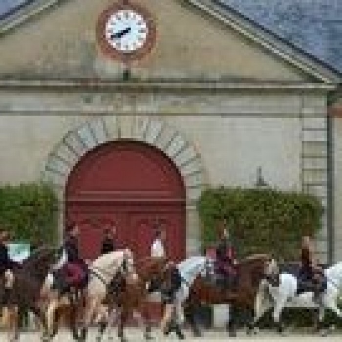 Photo de Musée du cheval en Bretagne à Hennebont