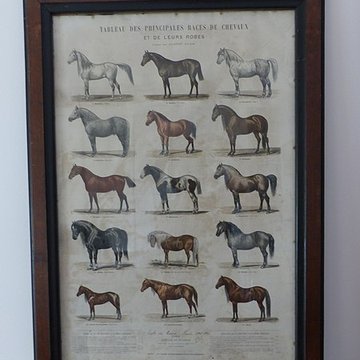 Musée du cheval en Bretagne à Hennebont