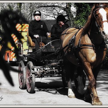 Musée du cheval en Bretagne à Hennebont