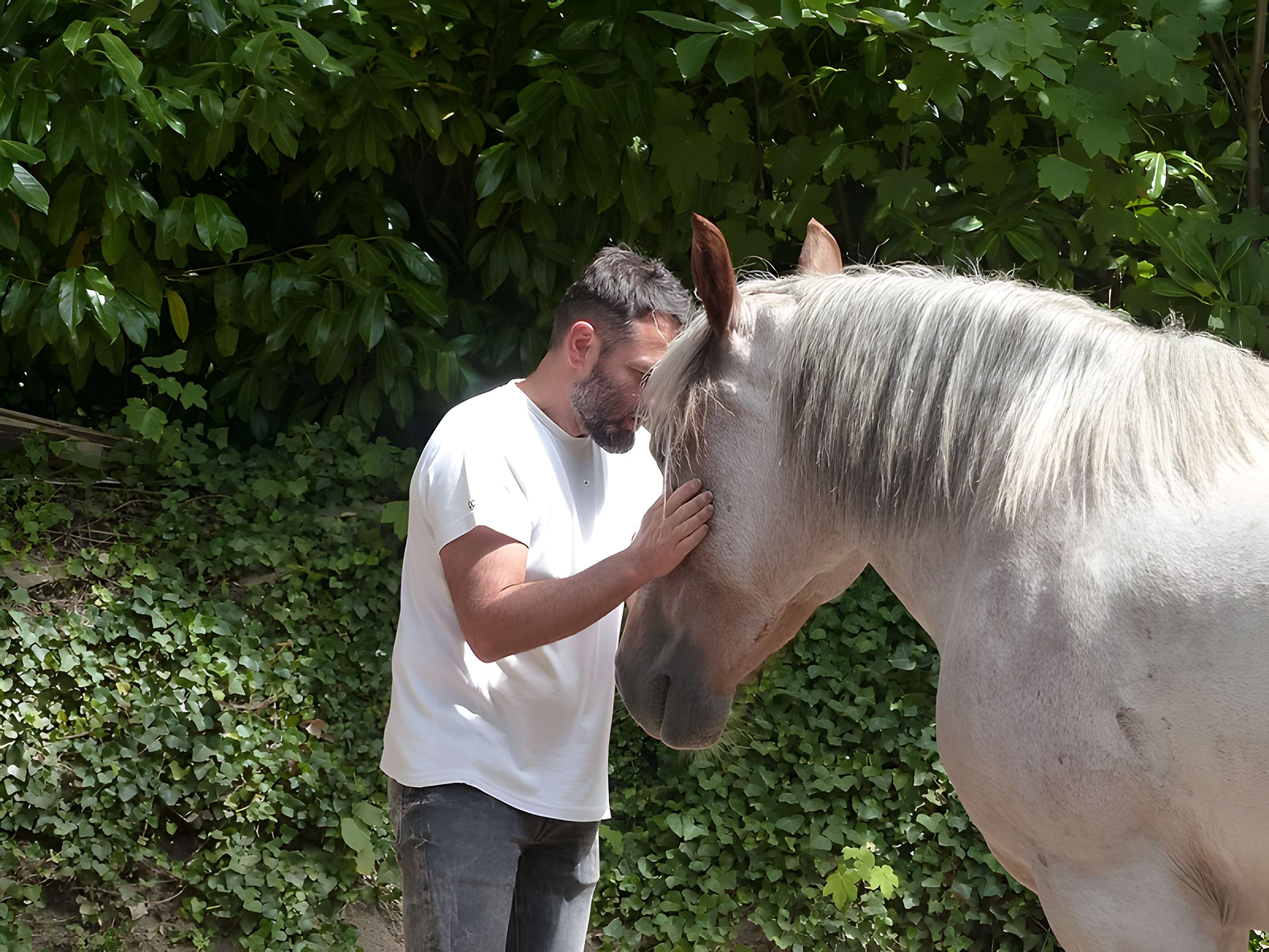 Musée du cheval en Bretagne à Hennebont