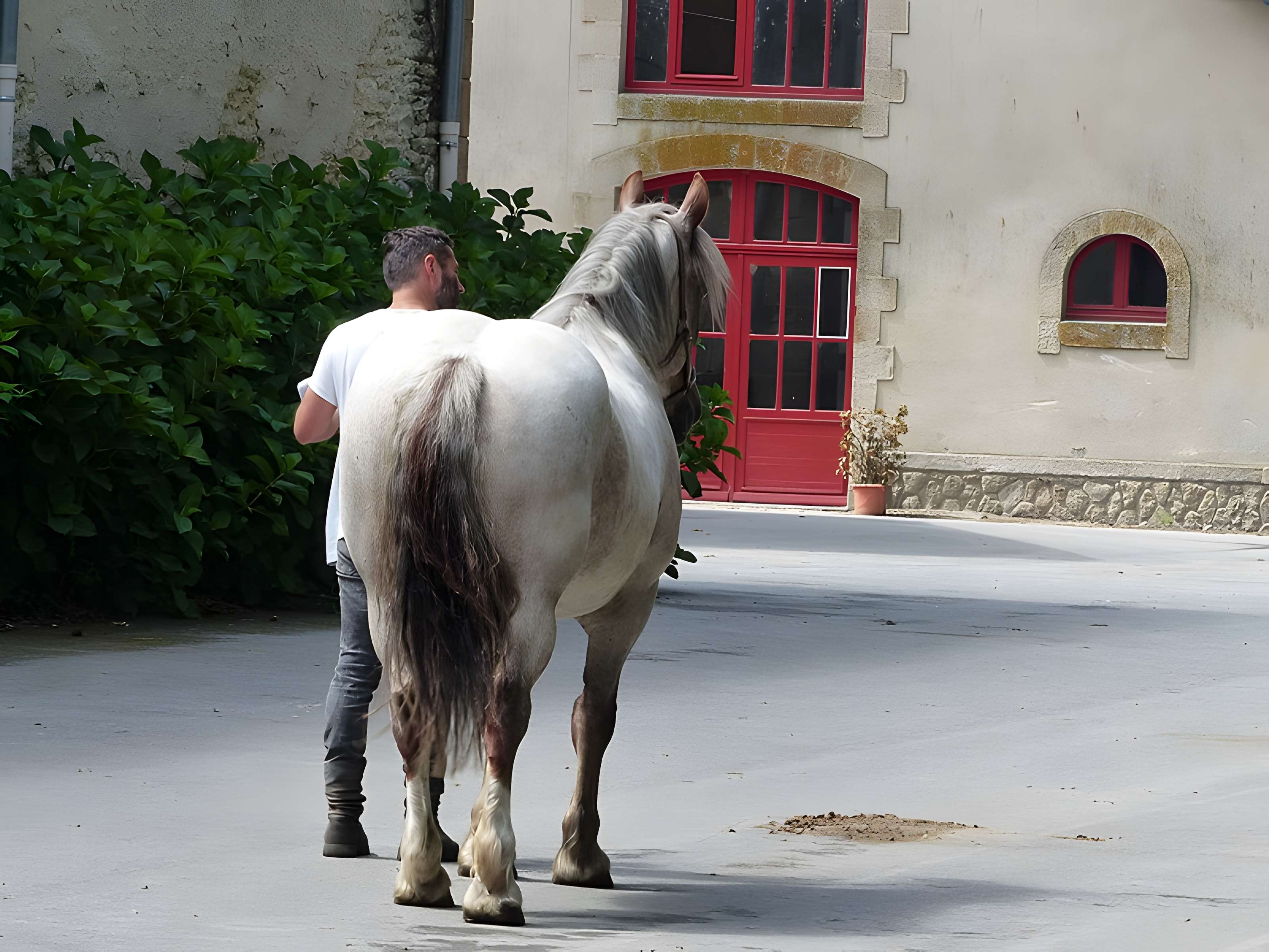 Musée du cheval en Bretagne à Hennebont