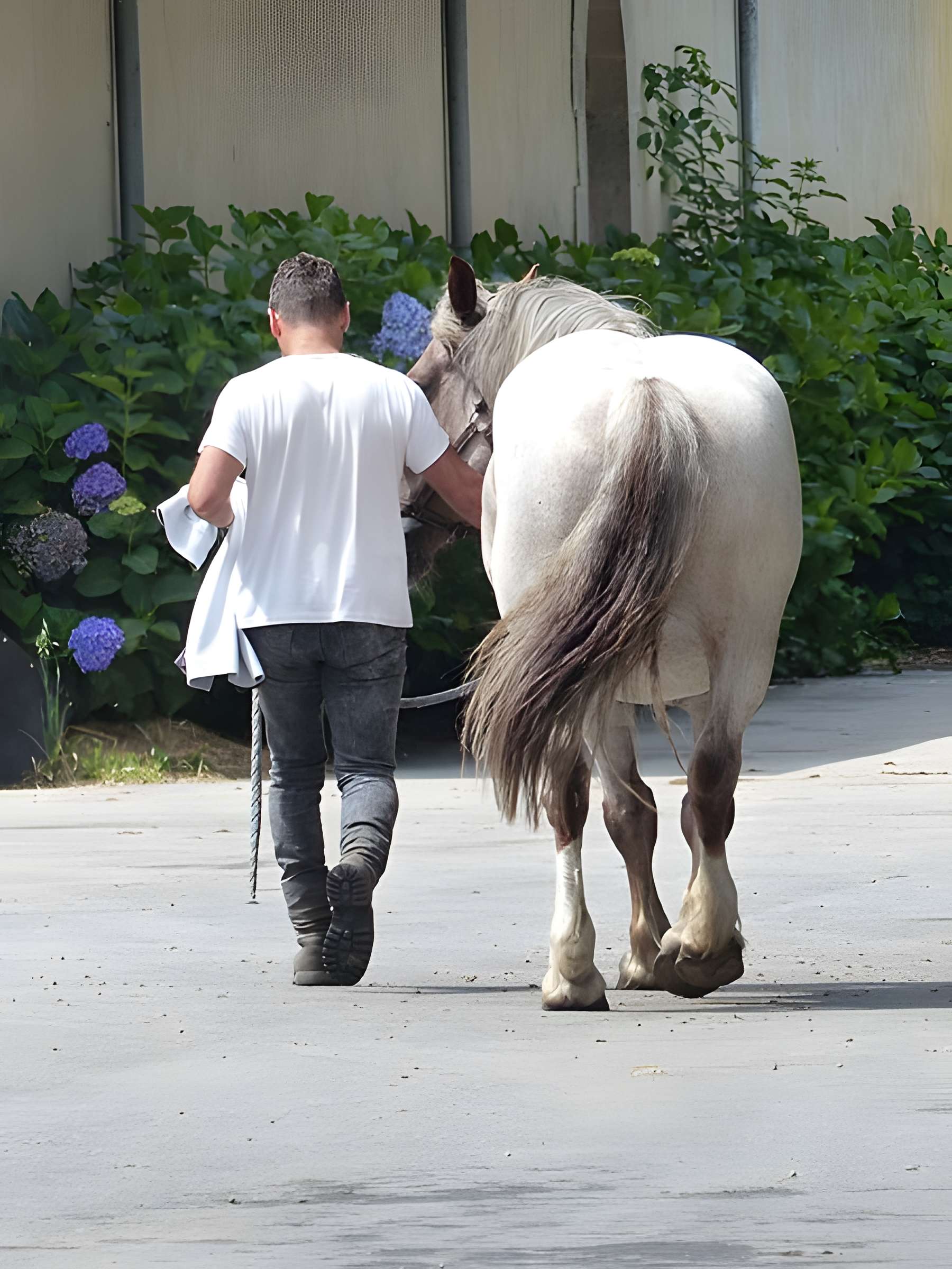 Musée du cheval en Bretagne à Hennebont