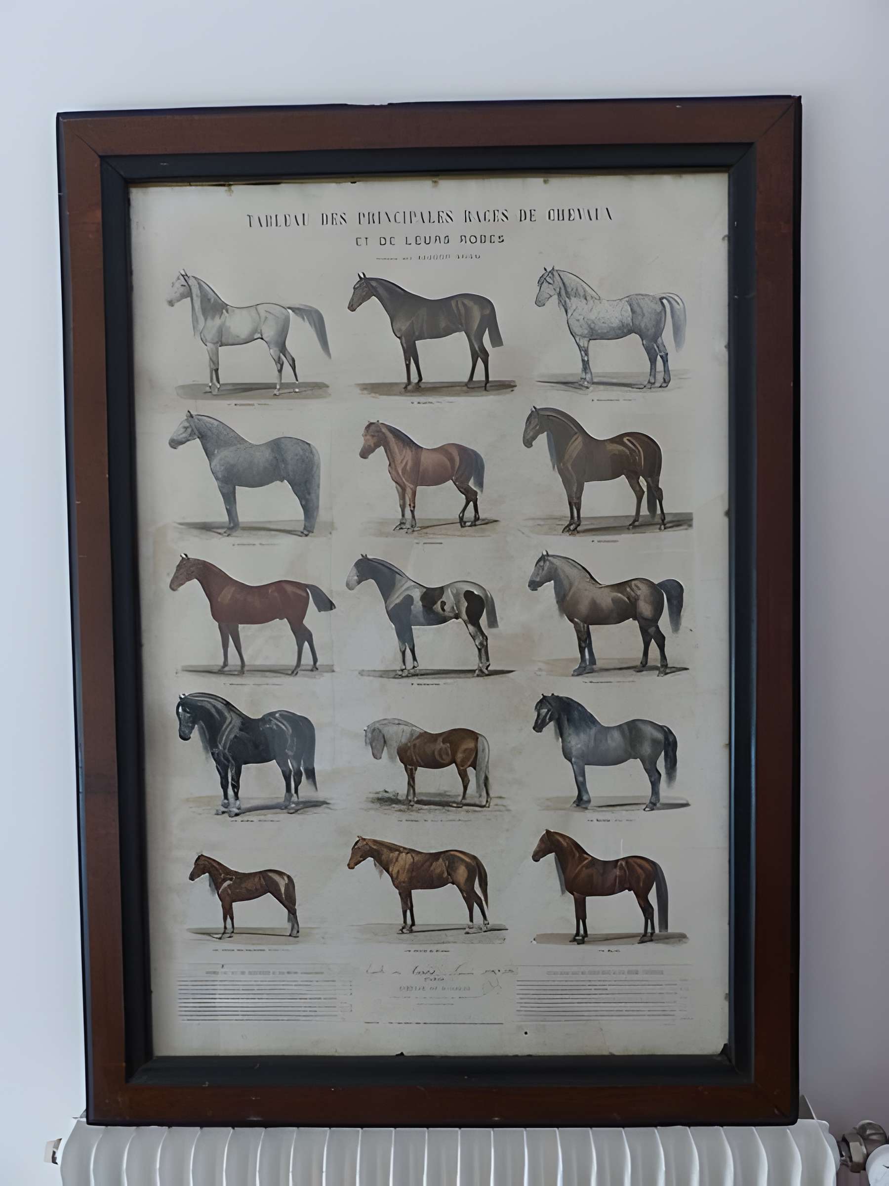 Musée du cheval en Bretagne à Hennebont