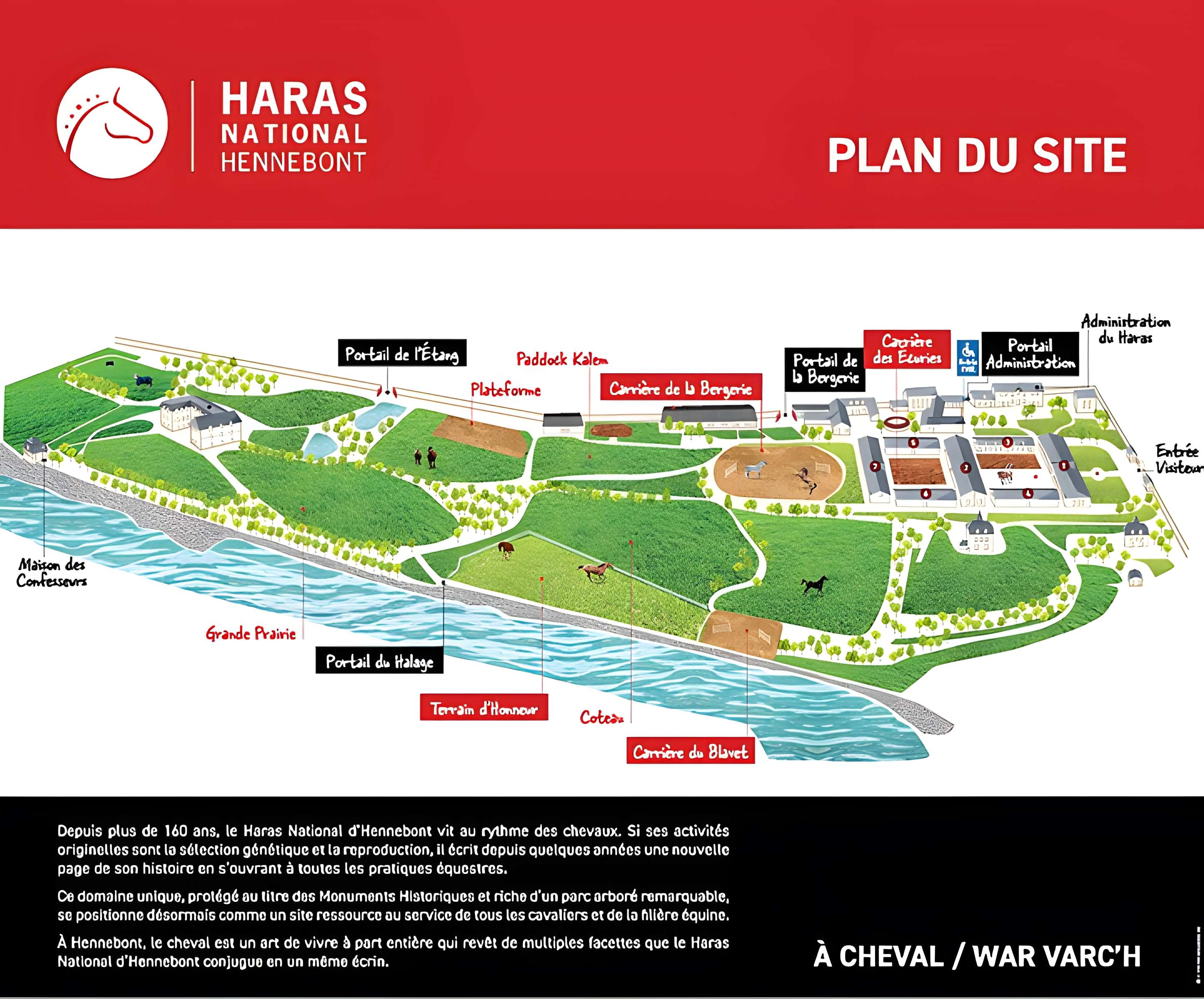 Musée du cheval en Bretagne à Hennebont