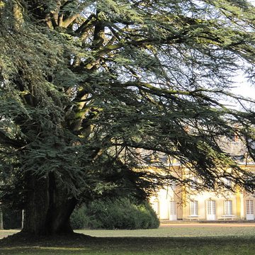 chateau de rambuteau