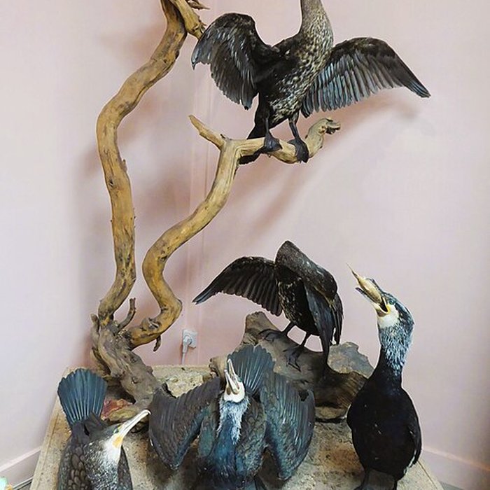 Photo de Musée des beaux-arts et dhistoire naturelle de Châteaudun