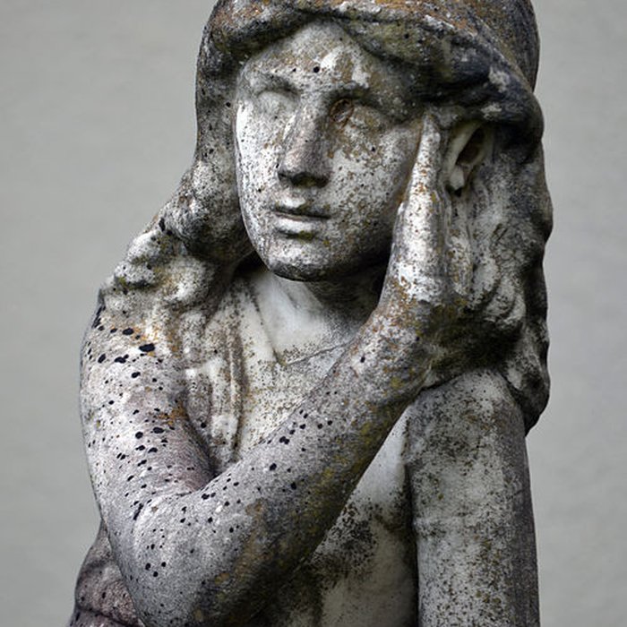 Photo de Musée des beaux-arts et dhistoire naturelle de Châteaudun